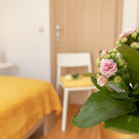 Apartment Nik - Cosy And Stylish Dubrovnik Eksteriør bilde